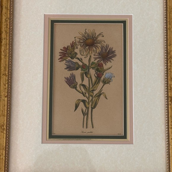 16x13” Custom Framed & matted Botanical/floral Art-Vintage Gold Frame - Picture 2 of 5